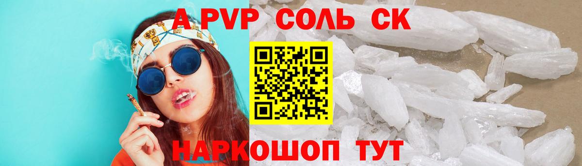 Альфа ПВП СК Майкоп