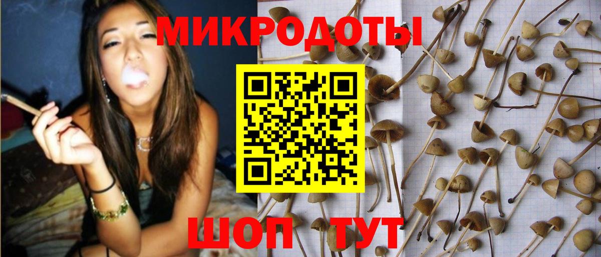 Майкоп  Галлюциногенные грибы Psilocybe  Вход с VPN  Псилоцибиновые грибы Cubensis 