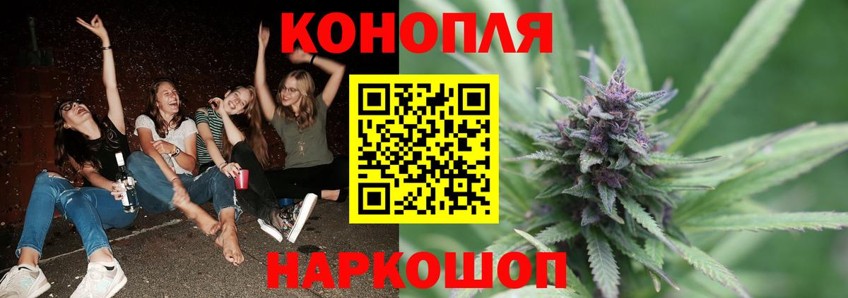 Бошки Шишки ГИДРОПОН  Канабис OG Kush  Майкоп  Вход с VPN 